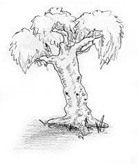 draw tree